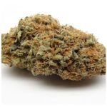 Шишки AK47  (Гидропоника, Бошка) VHQ в Клинцах