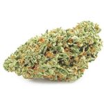 Шишки OG Kush  (Гидропоника, бошки) VHQ в Клинцах